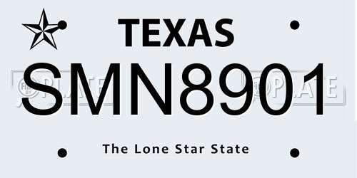 SMN8901 Texas License Plate