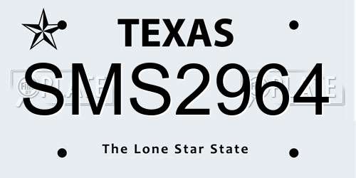 SMS2964 Texas License Plate