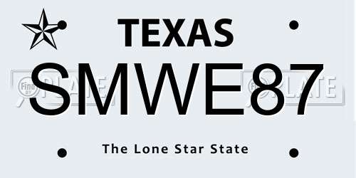 SMWE87 Texas License Plate