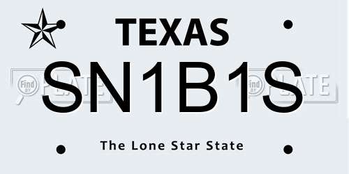 SN1B1S Texas License Plate