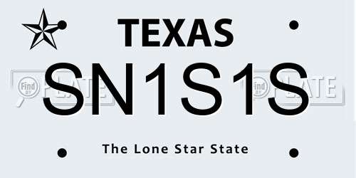 SN1S1S Texas License Plate