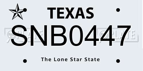 SNB0447 Texas License Plate