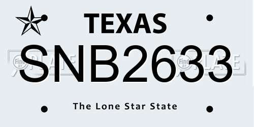 SNB2633 Texas License Plate