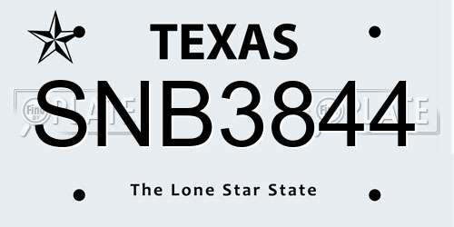 SNB3844 Texas License Plate