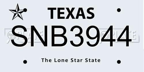 SNB3944 Texas License Plate