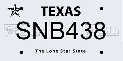 SNB438 Texas License Plate