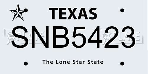 SNB5423 Texas License Plate