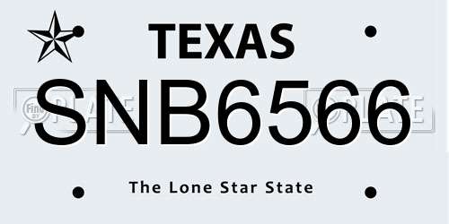 SNB6566 Texas License Plate