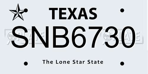SNB6730 Texas License Plate