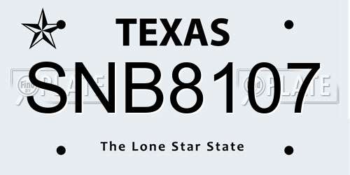 SNB8107 Texas License Plate