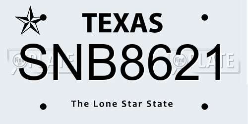 SNB8621 Texas License Plate