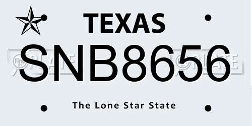 SNB8656 Texas License Plate