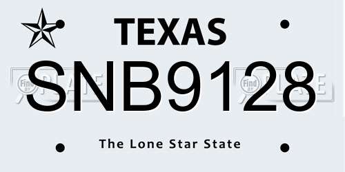 SNB9128 Texas License Plate