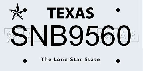 SNB9560 Texas License Plate