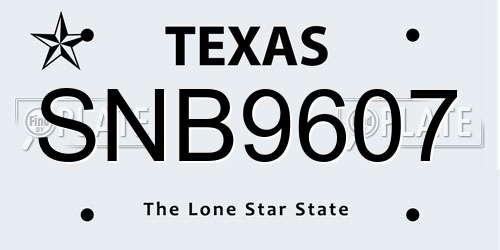 SNB9607 Texas License Plate