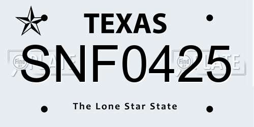 SNF0425 Texas License Plate