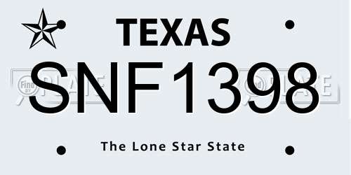 SNF1398 Texas License Plate