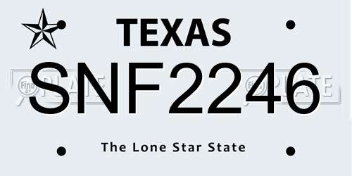 SNF2246 Texas License Plate
