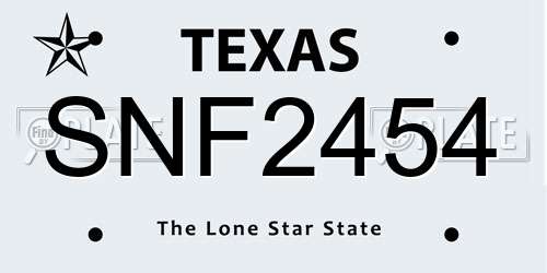 SNF2454 Texas License Plate