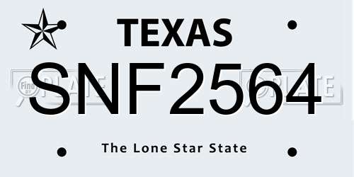 SNF2564 Texas License Plate