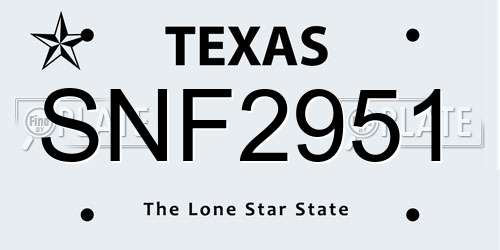 SNF2951 Texas License Plate