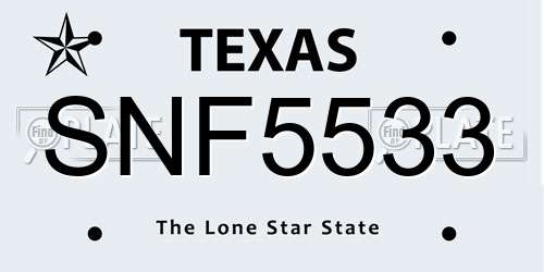 SNF5533 Texas License Plate