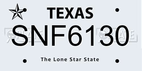 SNF6130 Texas License Plate