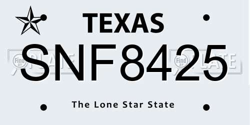 SNF8425 Texas License Plate