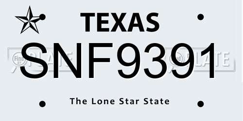 SNF9391 Texas License Plate