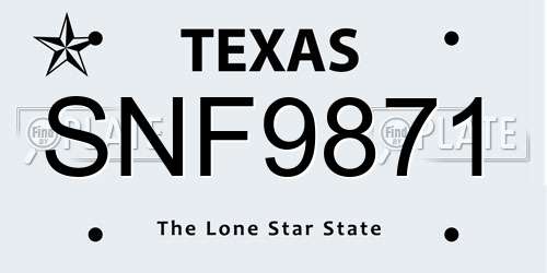 SNF9871 Texas License Plate