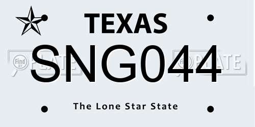 SNG044 Texas License Plate