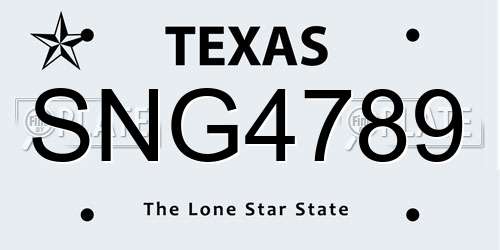 SNG4789 Texas License Plate
