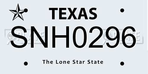 SNH0296 Texas License Plate