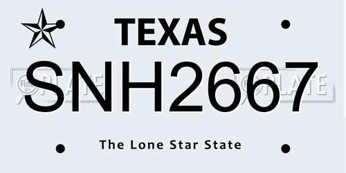 SNH2667 Texas License Plate