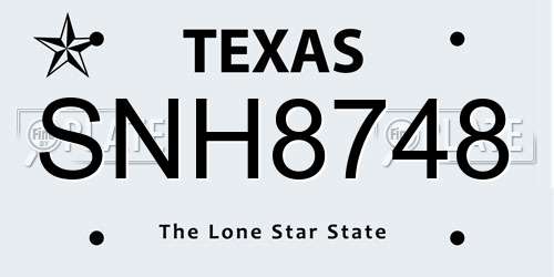 SNH8748 Texas License Plate