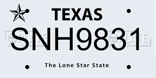 SNH9831 Texas License Plate