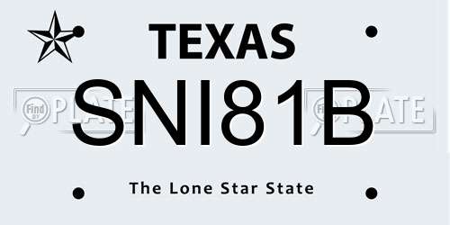 SNI81B Texas License Plate