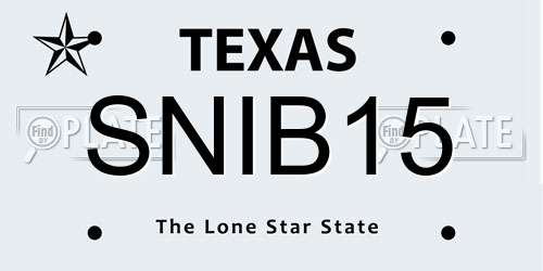 SNIB15 Texas License Plate