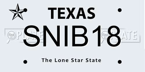 SNIB18 Texas License Plate