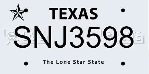 SNJ3598 Texas License Plate