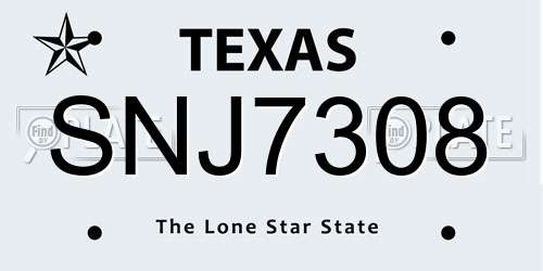 SNJ7308 Texas License Plate