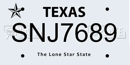 SNJ7689 Texas License Plate