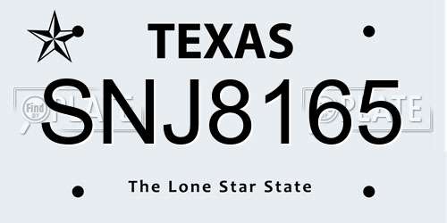 SNJ8165 Texas License Plate