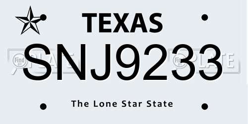 SNJ9233 Texas License Plate