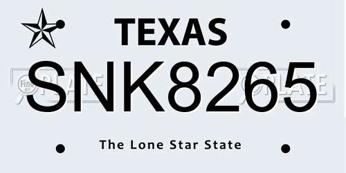 SNK8265 Texas License Plate