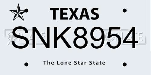 SNK8954 Texas License Plate
