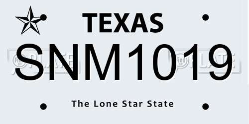 SNM1019 Texas License Plate