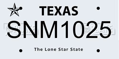SNM1025 Texas License Plate