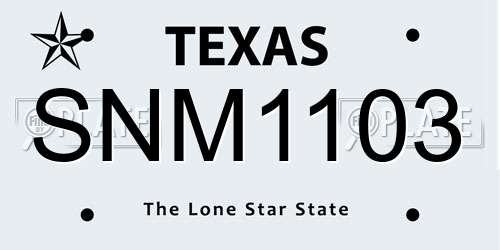 SNM1103 Texas License Plate