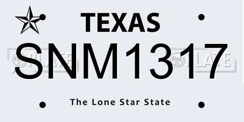 SNM1317 Texas License Plate